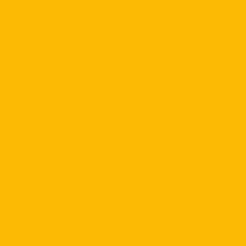 Fondale 2.72x11mt 14 Forsythia yellow