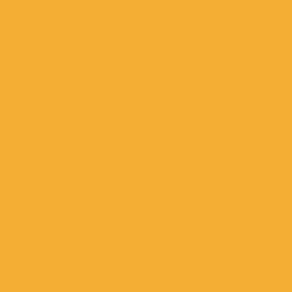 Fondale 2.72x11mt 35 Yellow Orange