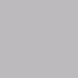 Fondale 2.72x11mt 58 Slate Grey