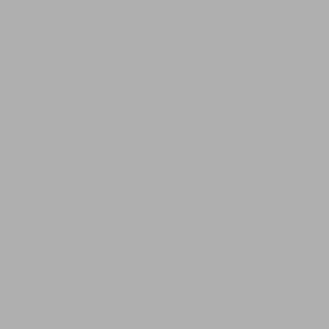 Fondale 2.72x11mt 72 Fossil Gray