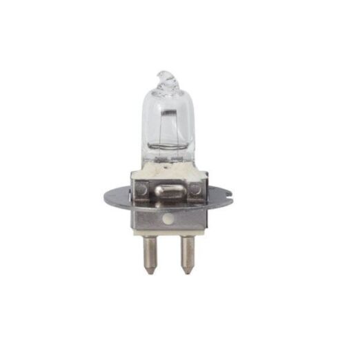 Lampadina 12v 30w PG22 - tipo Osram 64260